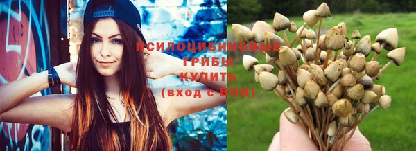 кокс Богданович