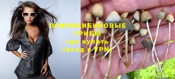 кокс Богданович